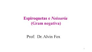 Aprenda Plugado - BACTERIOLOGIA - Aula 13, Slide 37 - Neisseria: foto de penis com gonorréia