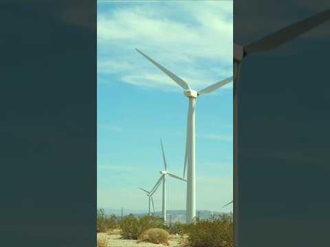 風力タービンがマダラワシを危険にさらす