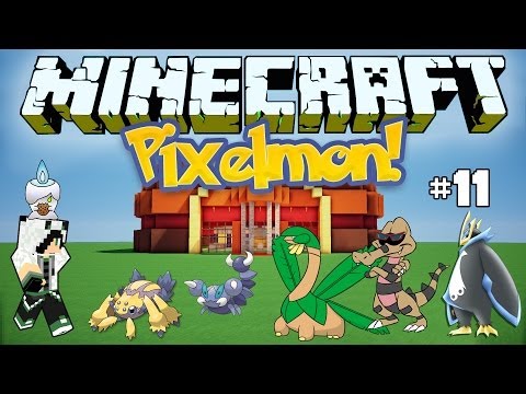 Pixelmon #11:Catturiamo altri nuovi pokemon