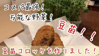 第一弾！【豆苗料理】コスパ最強！再生可能な万能野菜豆苗をつかってコロッケを作る！！【男飯】