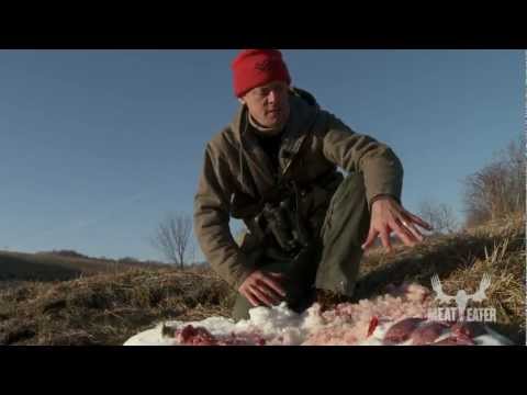 How to Skin and Clean a Rabbit -- Steven Rinella MeatEater
