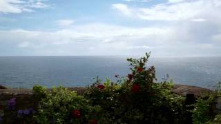 astroPuppees "How It Works" (Kelley Ryan/Jesse Valenzuela)