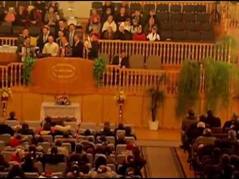 Tinerii din Londra la Corjeuti 2011