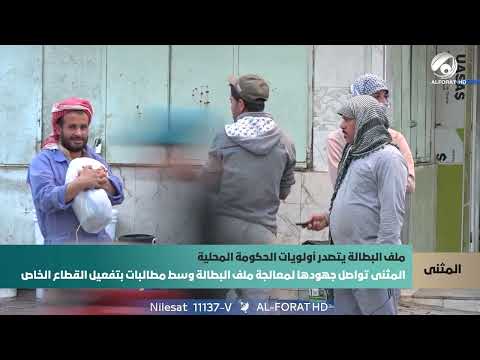 فيديو | المثنى تواصل جهودها لمعالجة ملف البطالة وسط مطالبات بتفعيل القطاع الخاص