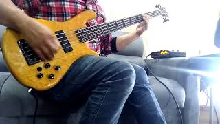 Fabio Fulini - Tiny Little Second (Freak Kitchen Bass Cover)