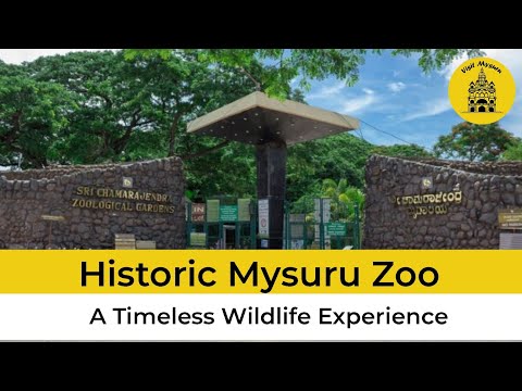 Historic Mysore Zoo | Visit Mysuru 
