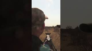 &quot;Heiße Läufe&quot; Jagd in Namibia 🇳🇦 Teil 2 von  ⁨@jagdkrone⁩
