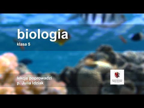 Biologia - klasa 5 SP. Przegląd i znaczenie roślin okrytonasiennych
