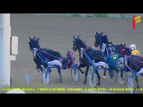 VII Corsa del 2 novembre 2022 - 5 e 6 Anni - Metri 1600