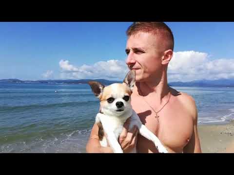 Фунтик Владимирович на "38 самураев"