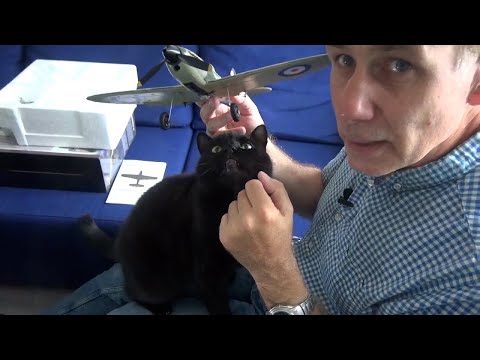 SonikRC Plane Spitfire 1st flight, unboxing and review