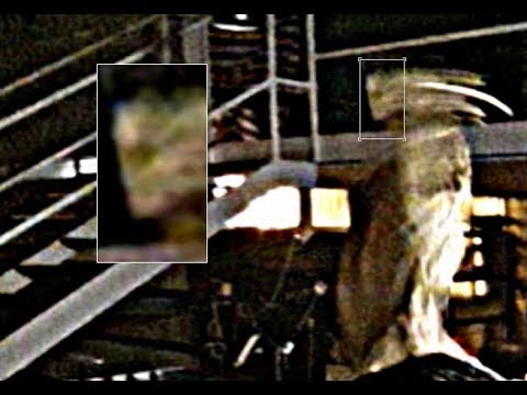 Fantasma dentro  un Self a Serravalle Sesia