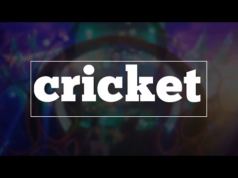 YouTube video about: How do you spell cricket?