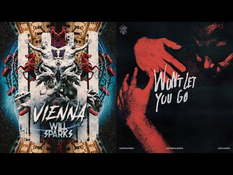 Will Sparks, Martin Garrix, Matisse & Sadko, John Martin - Vienna vs Won't Let You Go | Zack Mashup