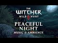 The Witcher Music Ambience Peaceful Night In Toussaint In 4K