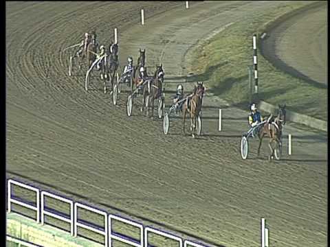 Trotto 22/07/2017 - 2ª prova di qualifica