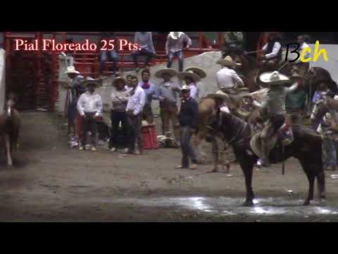 #BoletinCharroTv Un pial Floreado