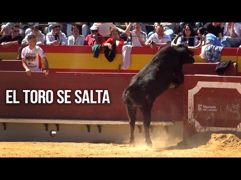 El Toro Salta al Callejón Castellón 2025