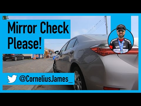 Mirror Check Please!