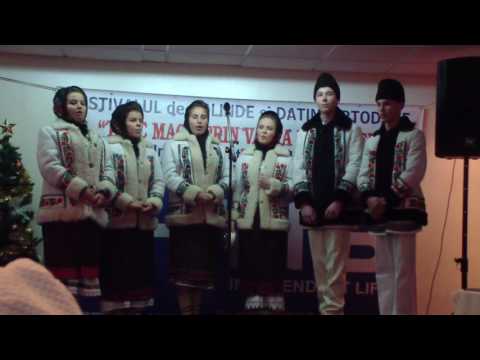 Flori toplitene   trofeul Festivalului