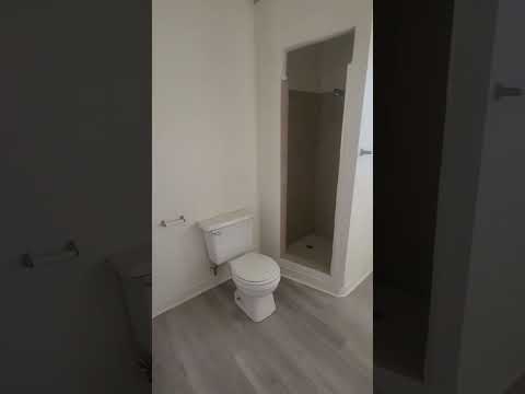 Desert Queen 6667 - Video 2 of 2