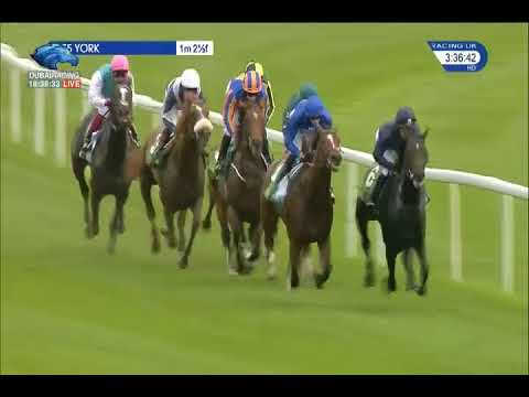 Juddmonte International Stakes G1 - 23\08\2017 - Ulysses
