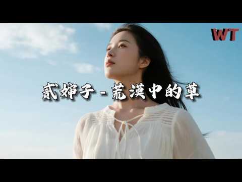 贰婶子 - 荒漠中的草『半生风沙中飘摇，伤痛只能自己熬。』【动态歌词MV】