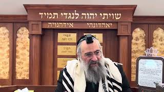שתיית מי הכינרת בפסח – מה הדין? (הרב יצחק ישראלי) - התמונה מוצגת ישירות מתוך אתר האינטרנט יוטיוב. זכויות היוצרים בתמונה שייכות ליוצרה. קישור קרדיט למקור התוכן נמצא בתוך דף הסרטון