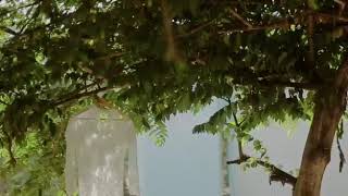 Download lagu Rembulan (ing wengi) - cover video wedding Lukman & Meytha mp3