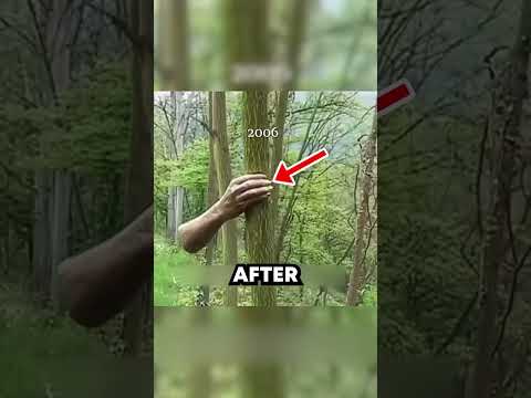 CRAZY ART EXPERIMENT 😭🙏