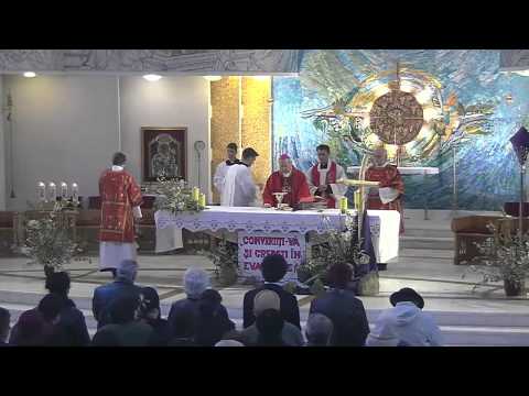 Iași (catedrală): Liturghia solemnă de Florii (ora 11.00) (13 aprilie 2014)