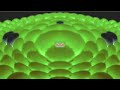 Samsung Balls I Killed Confusion