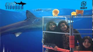 DIA 3 Expo Tiburon157