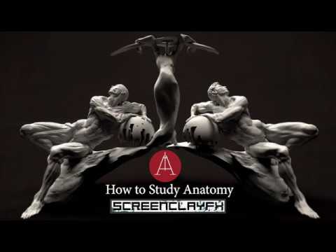 How to Study Anatomy -WEBINAR