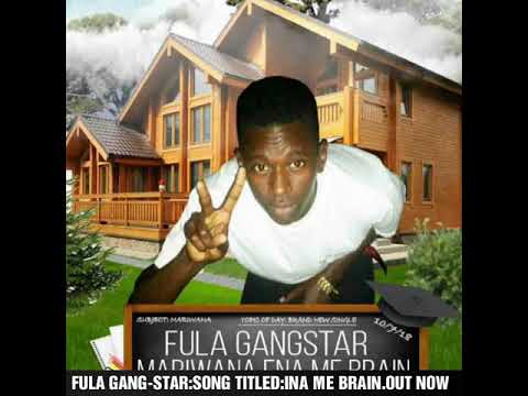 FULA GANG-STA IN ME BRAIN
