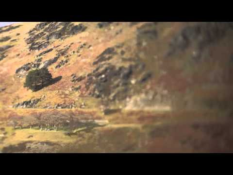 Sharron Kraus - Winding Road