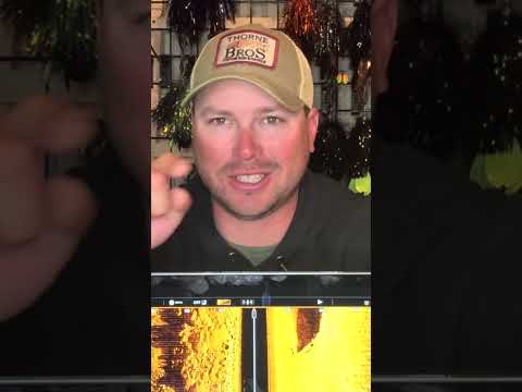 Mega Side Imaging Follows  #muskyfishing #fishing