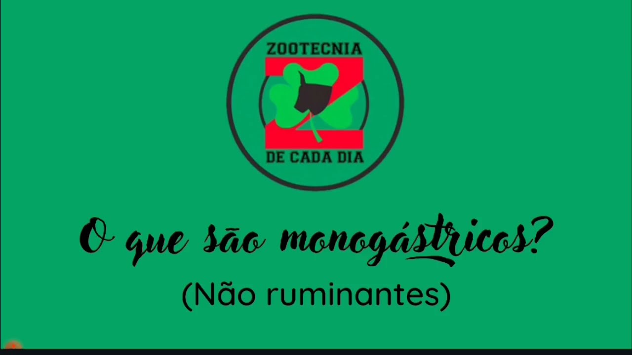 O QUE SÃO MONOGÁSTRICOS? (NÃO RUMINANTES)