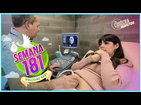 download lagu mp3 mp4 Los Moritos, download lagu Los Moritos gratis, unduh video klip Los Moritos