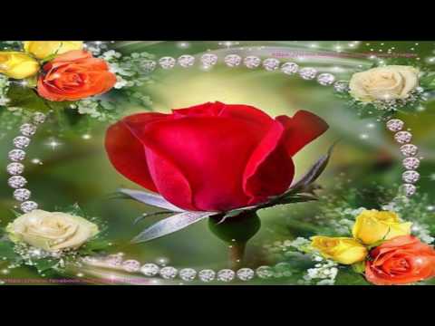 ŻYCZENIA Z CAŁEGO SERCA ❤️  DLA MOJEJ MAMY W DNIU IMIENIN