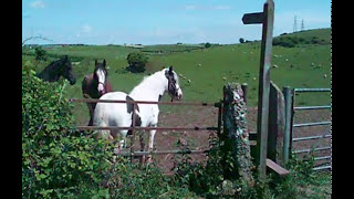 preview picture of video 'Cistercian Way (Dalton-in-Furness) 2010 Part 2.'