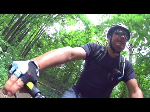 по Москве 17 06 2018