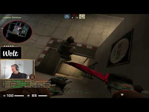 Aleksib playing with his prey