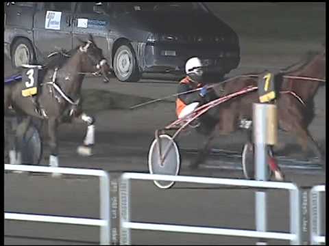 Trotto 15/02/2015 - 8° corsa