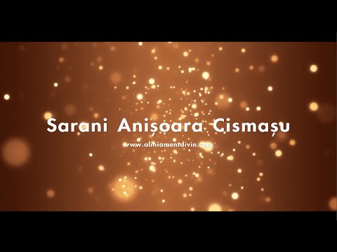 Interviu Anisoara Cismasu - www.aliniamentdivin.com