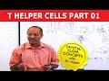 T Helper Cells | Immunology | Part 1/10
