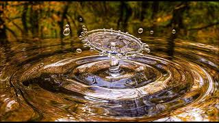 Purple Schulz - Kleine Seen