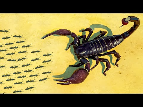 NEW Necromancer Ants vs Giant EMPEROR SCORPION in Empires of the Undergrowth!