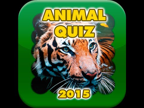 animal quiz 2015 обзор игры андроид game rewiew android