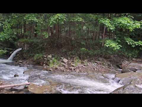 POTOK JAWORZYNA (JAWORZYNKA) - ODCINEK ZAWOJA WIDŁY